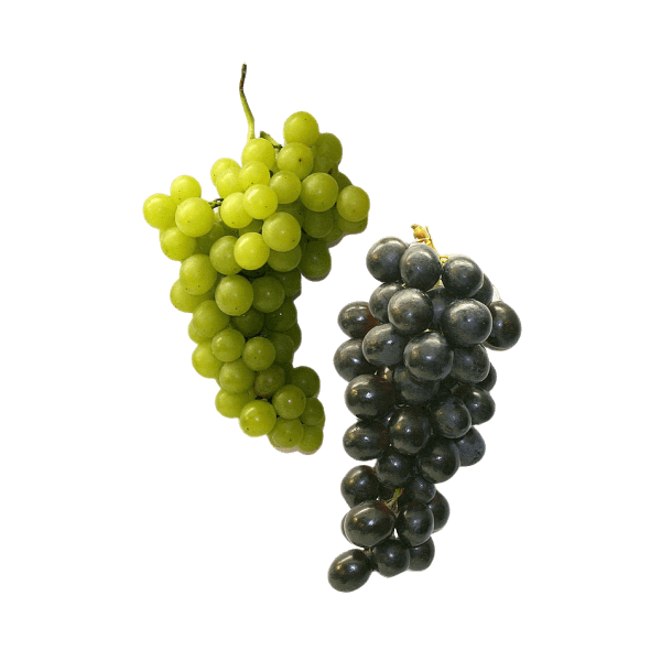 organicc-grapes
